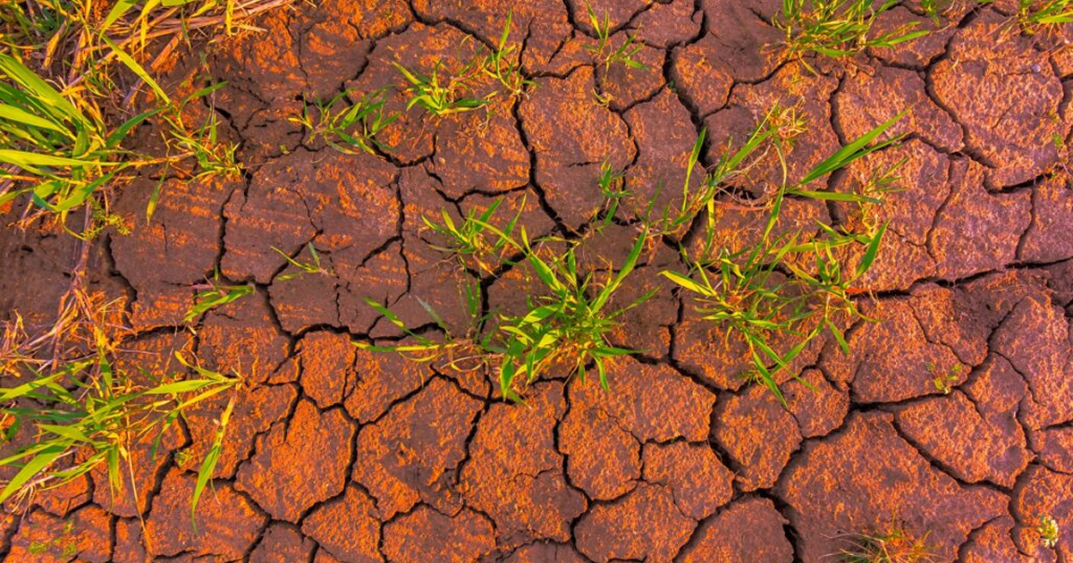 Compactación del suelo: ensayo Proctor, densidad y la base invisible de toda obra civil