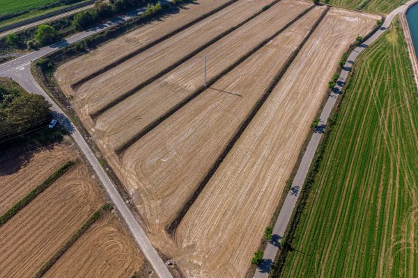Levantamiento topográfico: qué te entregan, cuánto tarda y para qué sirve cada plano