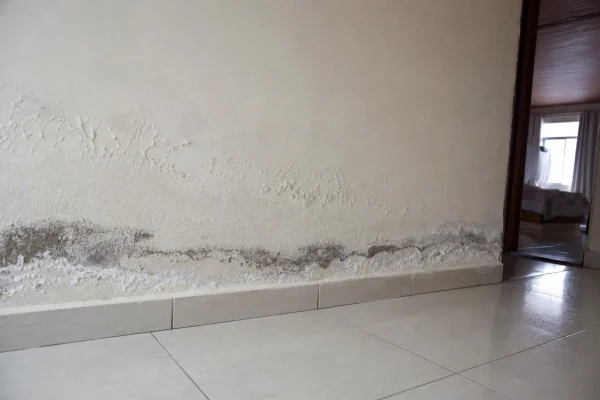 Humedad que sube por la parte baja de un muro, con pintura inflada y salitre